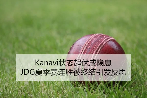 Kanavi状态起伏成隐患 JDG夏季赛连胜被终结引发反思